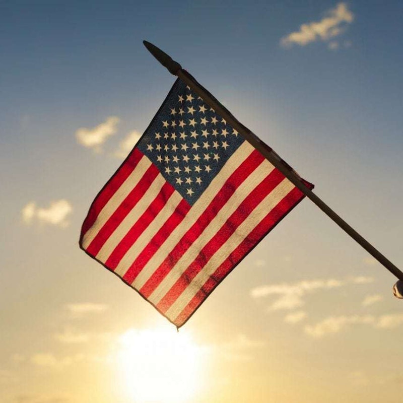 Person holding flag