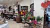 a room with a shelf of wine and plants